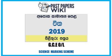 2019 O/L Chinese Marking Scheme | Sinhala Medium