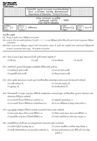 Grade 11 History Past Paper 2020 (3rd Term Test) | Western Province