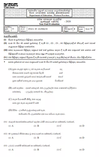 Grade 11 Drama Past Paper 2020 (3rd Term Test) | Western Province
