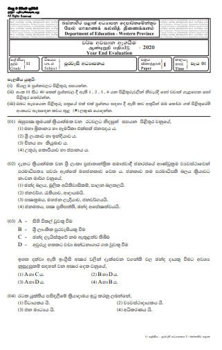 Grade 11 Citizenship Past Paper 2020 (3rd Term Test) | Western Province