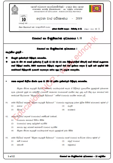 Grade 10 Business And Accounting Studies Paper 2019 (2nd Term Test) | North Central Province