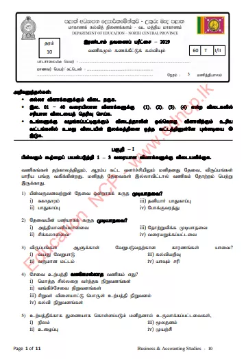 Grade 10 Business And Accounting Studies Paper 2019 (2nd Term Test) | North Central Province