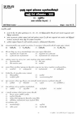 Grade 11 Home Science Paper 2020 (1st Term Test) | Southern Province