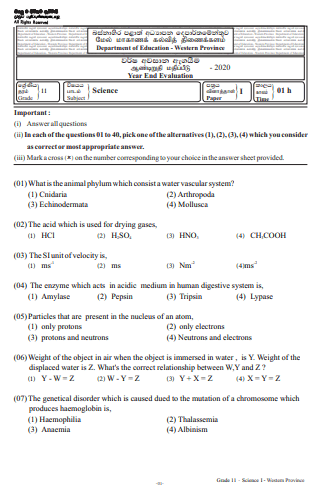 Grade 11 Science Past Paper 2020 (3rd Term Test) | Western Province