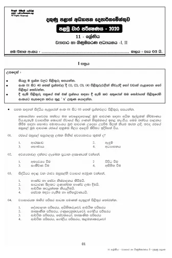 Grade 11 Business And Accounting Studies Paper 2020 (1st Term Test) | Southern Province