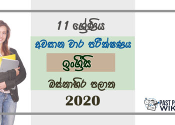 Grade 11 English Past Paper 2020 (3rd Term Test) | Western Province