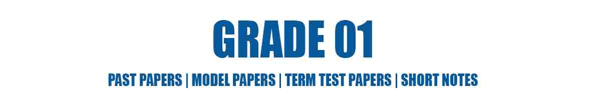 Grade 01 - Past Papers | Model Papers | Term Test Papers | Short Notes