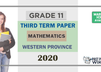 Grade 11 Mathematics Paper 2020 (3rd Term Test) | Western Province