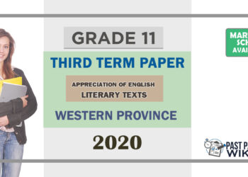 Grade 11 Appreciation of English Literary Texts Past Paper 2020 (3rd Term Test) | Western Province