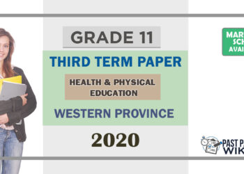 Grade 11 Health & Physical Education Past Paper 2020 (3rd Term Test) | Western Province