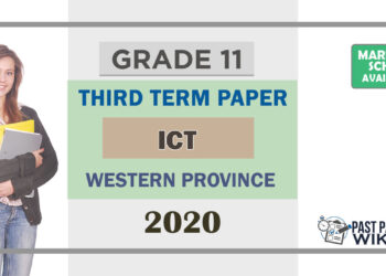 Grade 11 Information and Communication Technology Past Paper 2020 (3rd Term Test) | Western Province