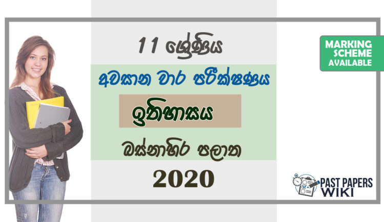 Grade 11 History Past Paper 2020 (3rd Term Test) | Western Province