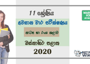 Grade 11 Drama Past Paper 2020 (3rd Term Test) | Western Province