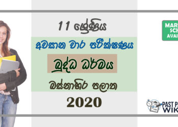Grade 11 Buddhism Past Paper 2020 (3rd Term Test) | Western Province
