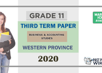 Grade 11 Business & Accounting Studies Paper 2020 (3rd Term Test) | Western Province