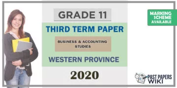 Grade 11 Business & Accounting Studies Paper 2020 (3rd Term Test) | Western Province