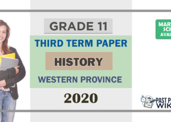 Grade 11 History Paper 2020 (3rd Term Test) | Western Province