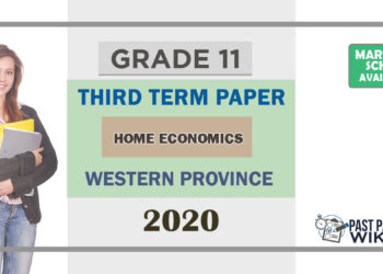 Grade 11 Home Science Paper 2020 (3rd Term Test) | Western Province