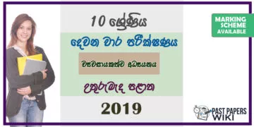 Grade 10 Entrepreneurship Studies Paper 2019 (2nd Term Test) | North Central Province