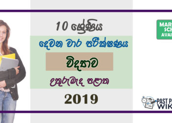 Grade 10 Science Paper 2019 (2nd Term Test) | North Central Province