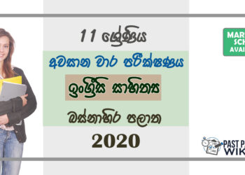 Grade 11 Appreciation of English Literary Past Paper 2020 (3rd Term Test) | Western Province