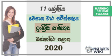 Grade 11 Appreciation of English Literary Past Paper 2020 (3rd Term Test) | Western Province