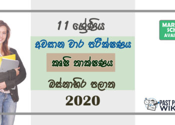 Grade 11 Agriculture & Food Technology Past Paper 2020 (3rd Term Test) | Western Province