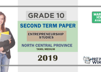 Grade 10 Entrepreneurship Studies Paper 2019 (2nd Term Test) | North Central Province