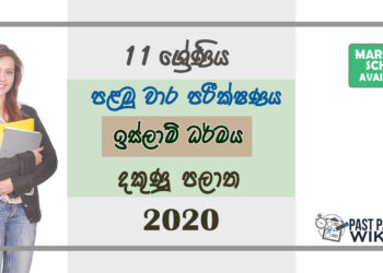Grade 11 Islam Paper 2020 (1st Term Test) | Southern Province