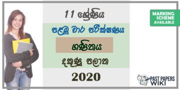 Grade 11 Mathematics Paper 2020 (1st Term Test) | Southern Province