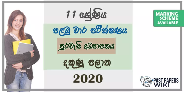 Grade 11 Citizenship Paper 2020 (1st Term Test) | Southern Province