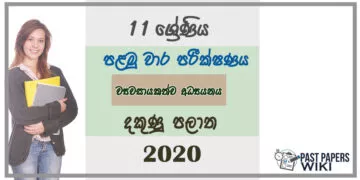 Grade 11 Entrepreneurship Studies Paper 2020 (1st Term Test) | Southern Province