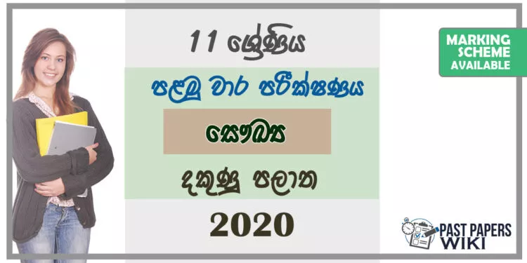 Grade 11 Health And Physical Education Paper 2020 (1st Term Test) | Southern Province