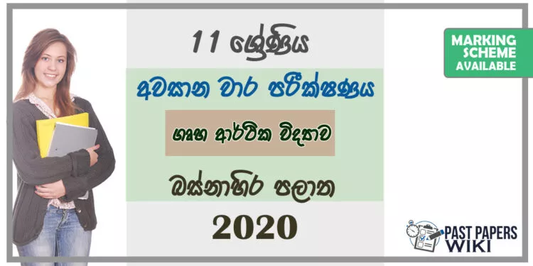 Grade 11 Home Science Past Paper 2020 (3rd Term Test) | Western Province
