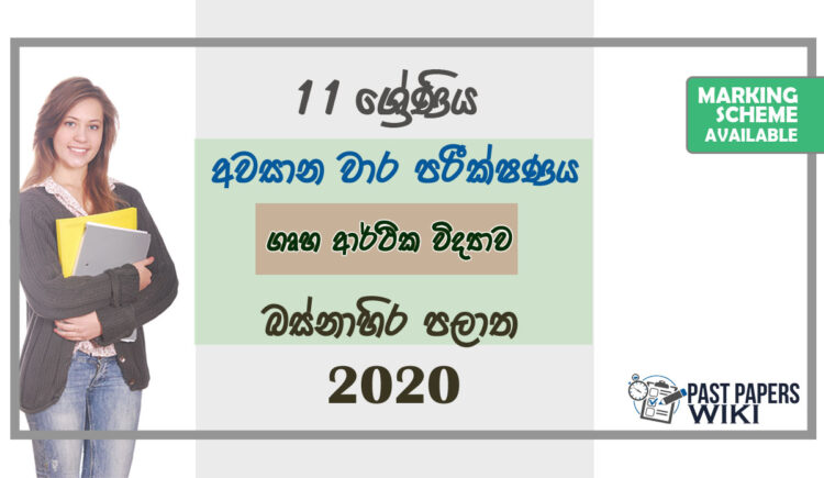 Grade 11 Home Science Past Paper 2020 (3rd Term Test) | Western Province