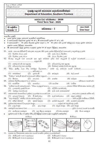 Grade 11 Dancing Paper 2020 (3rd Term Test) | Southern Province