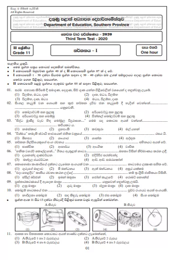 Grade 11 Dancing Paper 2020 (3rd Term Test) | Southern Province