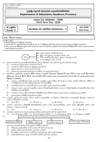Grade 11 Health And Physical Education Paper 2020 (3rd Term Test) | Southern Province