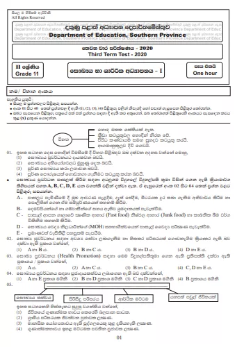 Grade 11 Health And Physical Education Paper 2020 (3rd Term Test) | Southern Province