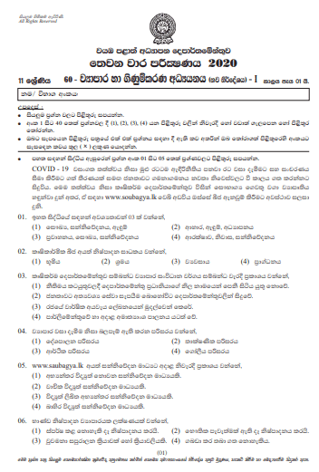 Grade 11 Business And Accounting Studies Paper 2020 (3rd Term Test ...