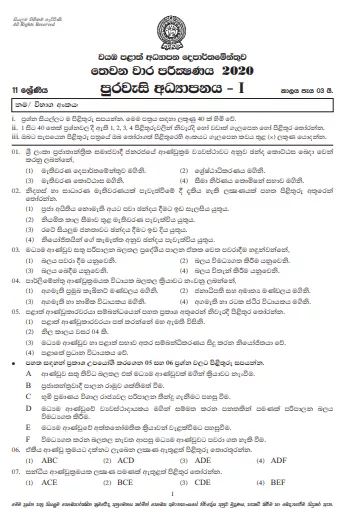 Grade 11 Citizenship Paper 2020 (3rd Term Test) | North Western Province