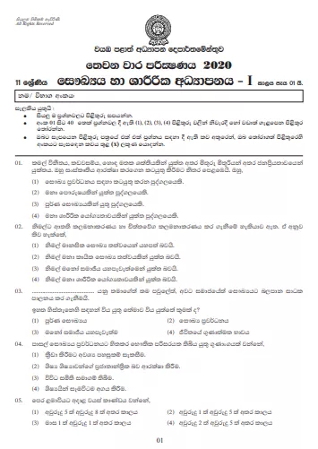 Grade 11 Health And Physical Education Paper 2020 (3rd Term Test) | North Western Province