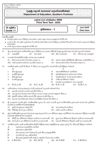 Grade 11 History Paper 2020 (3rd Term Test) | Southern Province
