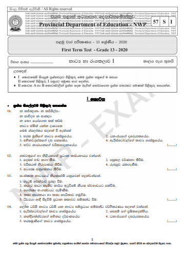 Grade 13 Drama 1st Term Test Paper 2020 | North Western Province