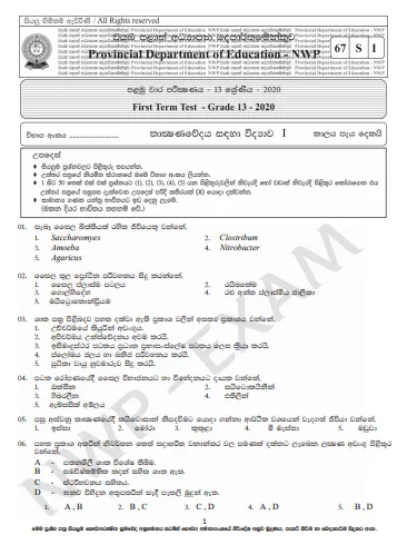 Grade 13 Science For Technology 1st Term Test Paper 2020 | North Western Province