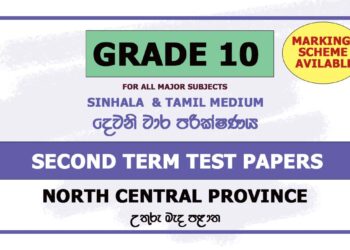 Second Term Test Papers 2019 | Grade 10 - North Central Province
