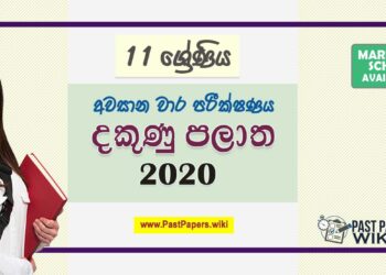 Grade 11 Southern Province 3rd Term Test Papers with answers