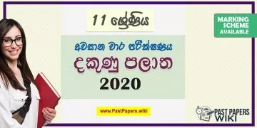 Grade 11 Southern Province 3rd Term Test Papers with answers