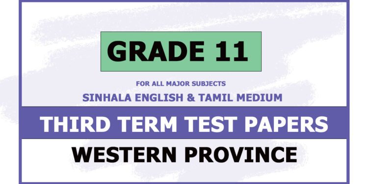 Grade 11 Western Province 3rd Term Test Papers with answers