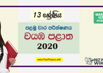 Grade 13 North Western Province 1st Term Test Papers with answers